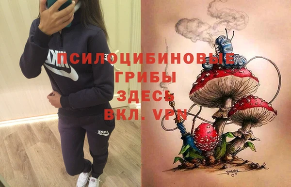 наркотики Каменногорск